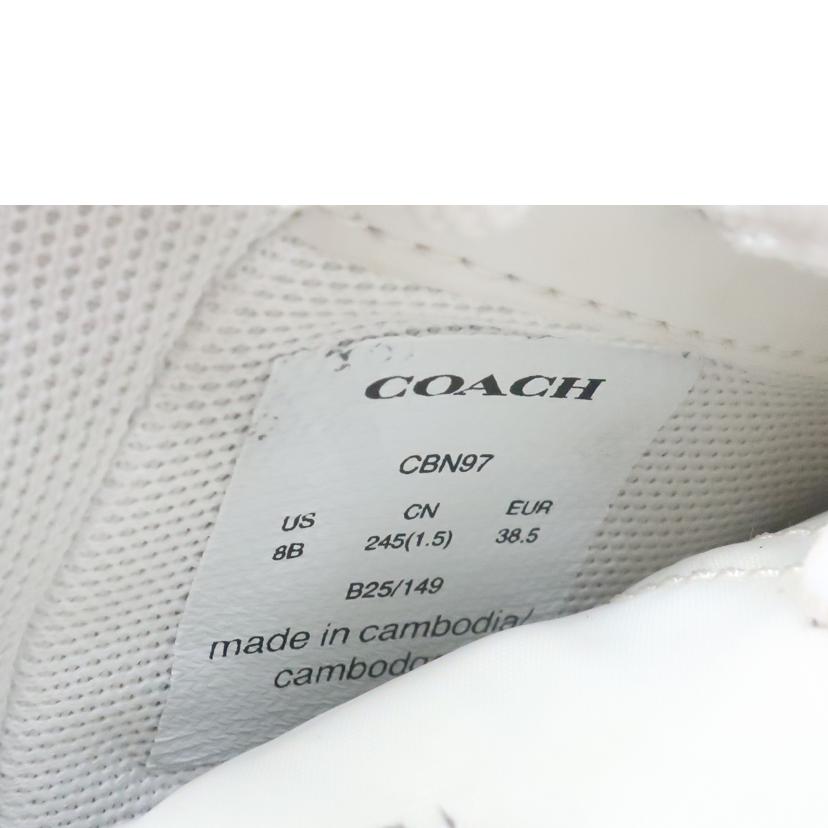 COACH コーチ/ソーホースニーカー 約24.5cm グレー/CBN97//ABランク/65