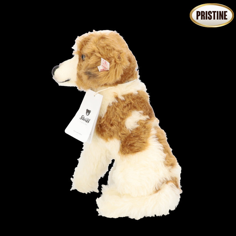 Steiff シュタイフ/コーイケルホンディエ/日本限定2024体/679483//SAランク/91