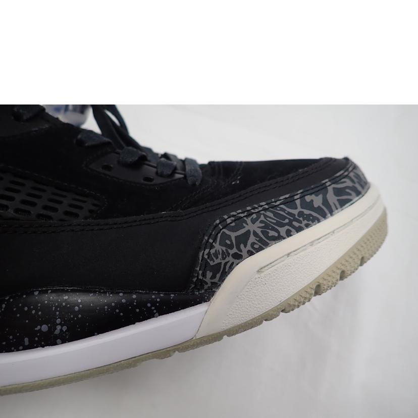 NIKE ナイキ/JORDAN SPIZIKE /315371-004//28.5cm/BCランク/62