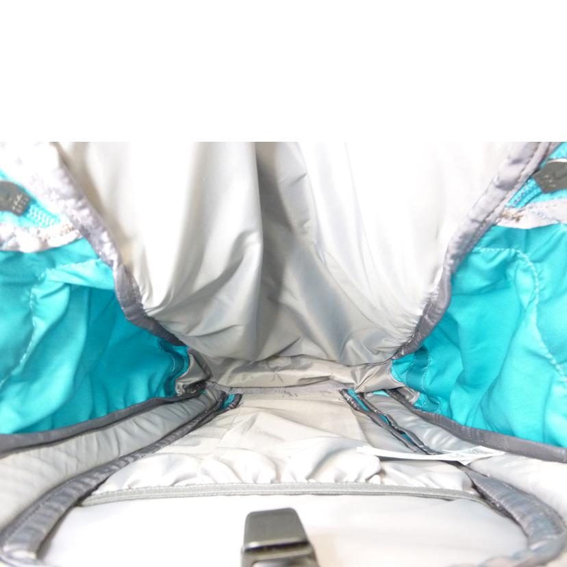 Patagonia パタゴニア/SnowDrifter30L/48195//ABランク/88