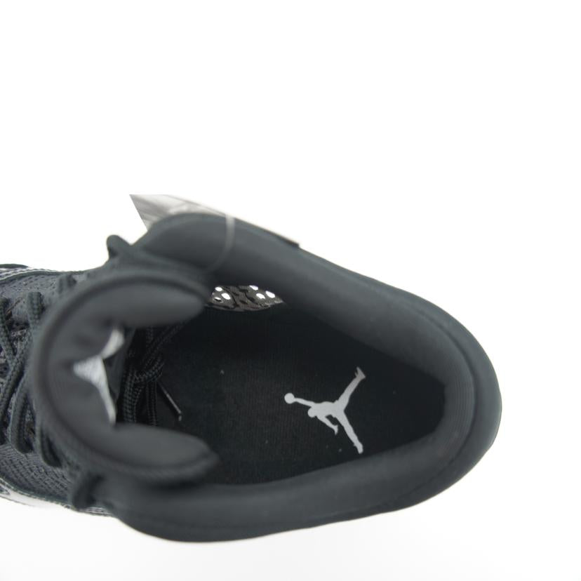 NIKE NIKE/Air JORDAN 11 RETRO LOW/919712-001//サイズ27.5cm/Aランク/03