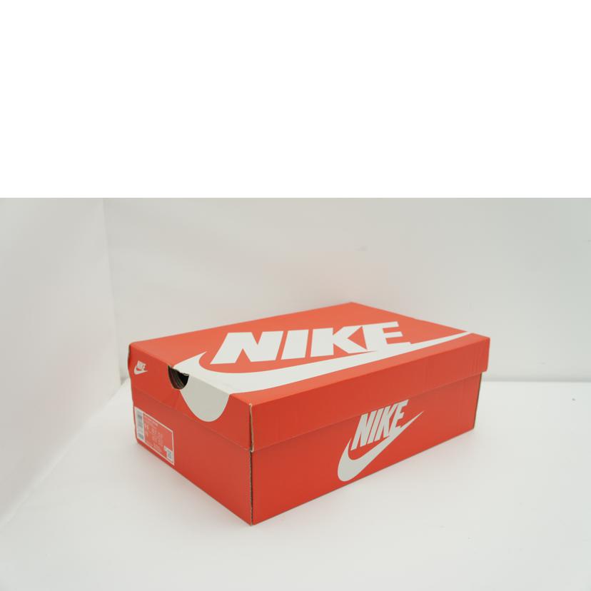 NIKE NIKE/Air FLIGHT LITE MID/FJ2949-001//サイズ27.5cm/Aランク/03