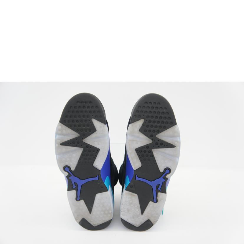 NIKE ナイキ/AIR JORDAN 6 RETORO /CT8529//004/ABランク/42