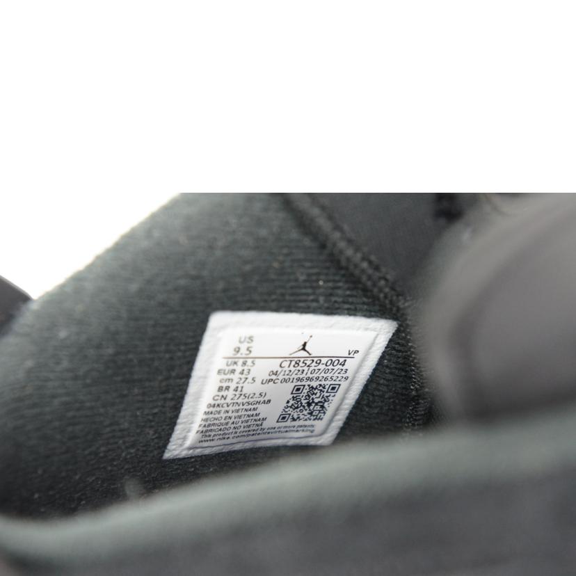 NIKE ナイキ/AIR JORDAN 6 RETORO /CT8529//004/ABランク/42