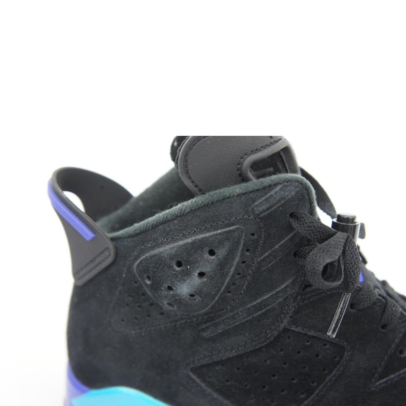 NIKE ナイキ/AIR JORDAN 6 RETORO /CT8529//004/ABランク/42
