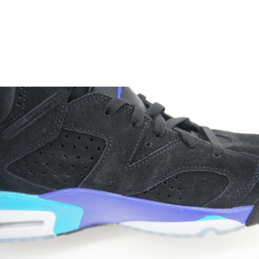 NIKE ナイキ/AIR JORDAN 6 RETORO /CT8529//004/ABランク/42