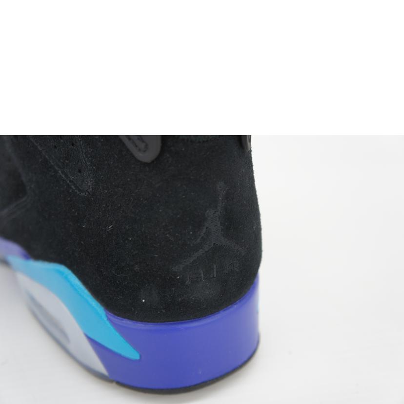 NIKE ナイキ/AIR JORDAN 6 RETORO /CT8529//004/ABランク/42