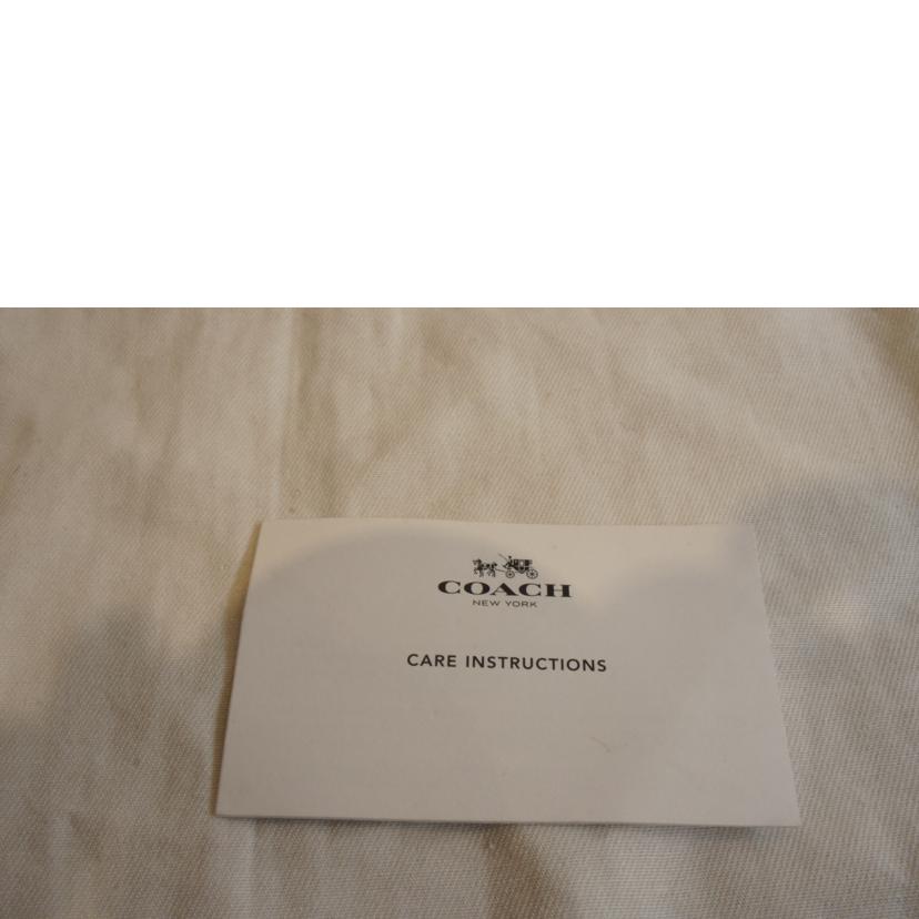 COACH/DisneyコラボPVCシグネチャーリュック/F29355//A18**/Aランク/92