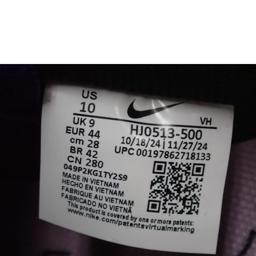 NIKE × Wilson ナイキ × ヘイリー ウイルソン/NIKE SB DUNK LOW PRO/HJ0513-500//28.0cm/Aランク/62