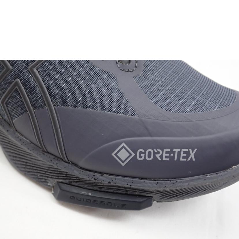 asics アシックス/GEL-RIDEWALK GTX/1293A036-020//25.0cm/BCランク/62