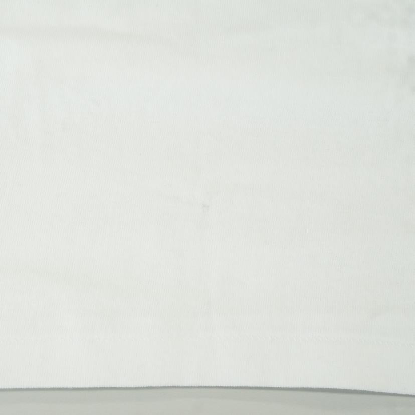 A BATHING APE A BATHING APE/ビッグサルT//Bランク/85