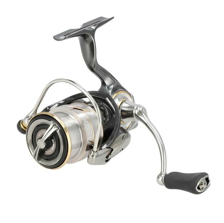 DAIWA ダイワ/20’ルビアスLT2500-XH/20LUVIASLT2500S-XH//ABランク/70