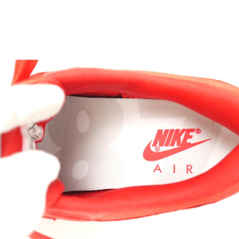 NIKE ナイキ/NIKE AIR MAX 1 PREMIUM/875844-600//Aランク/69