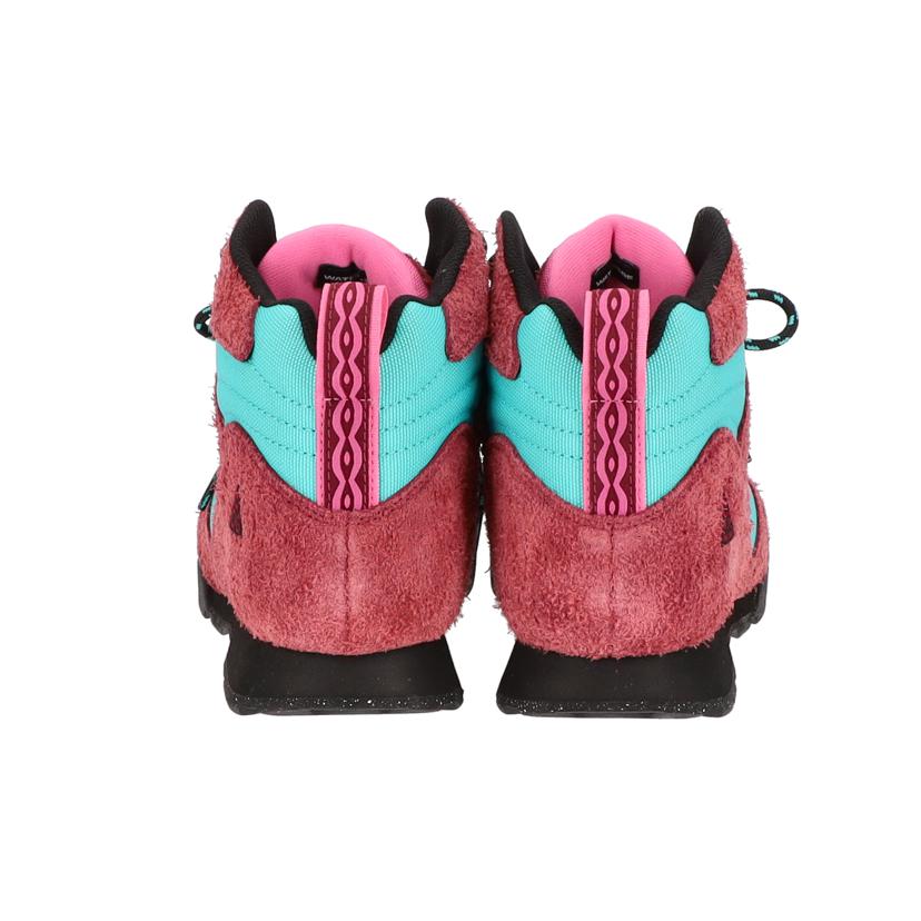 NIKE ナイキ/ACG Torre Mid "Team Red and Dusty Cactus"/FD0212-600//ABランク/70