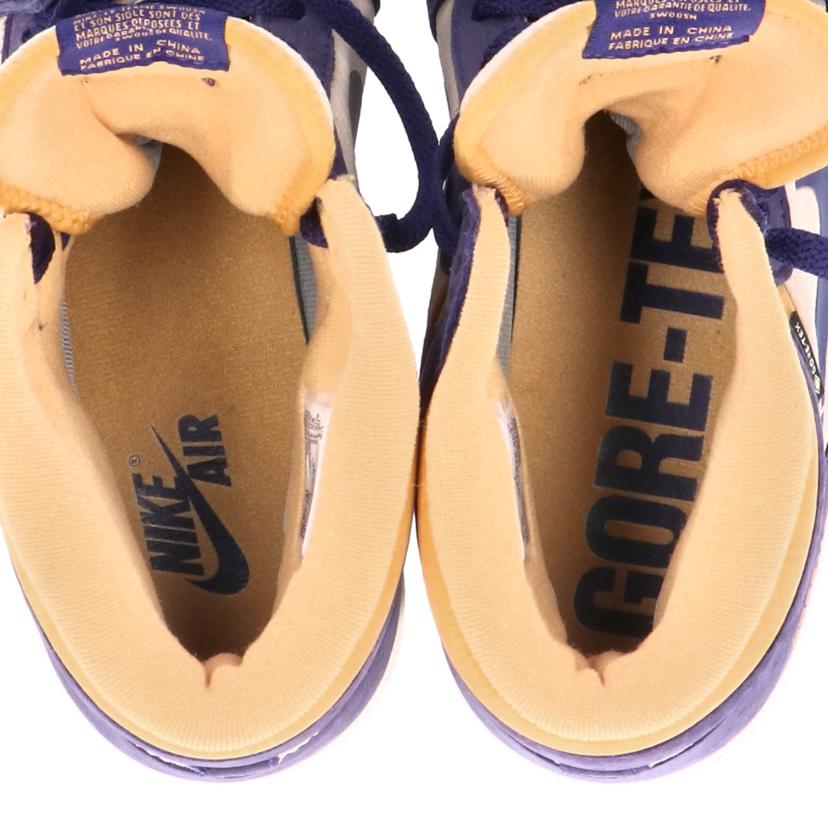 NIKE ナイキ/NIKE ナイキ Air Jordan 1 Element GORE-TEX/DB2889-501//ABランク/70