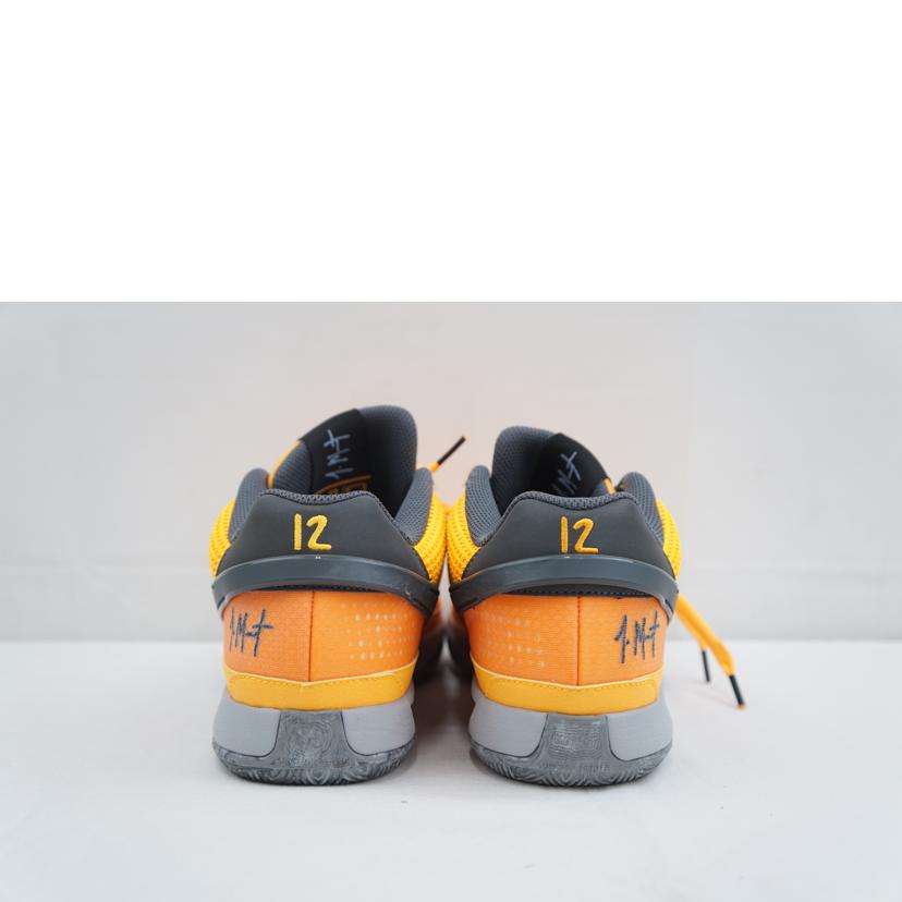 NIKE ナイキ/NIKE JA1 PE EP 25.5/FV1282-800//Aランク/67