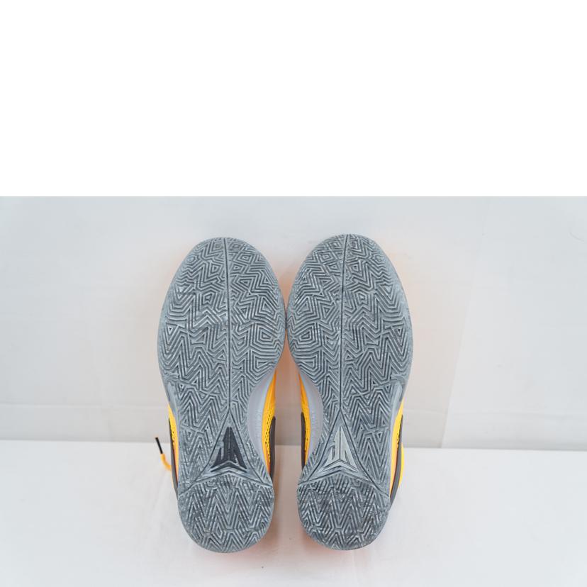 NIKE ナイキ/NIKE JA1 PE EP 25.5/FV1282-800//Aランク/67