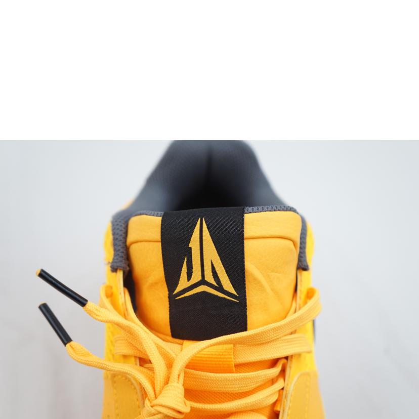 NIKE ナイキ/NIKE JA1 PE EP 25.5/FV1282-800//Aランク/67