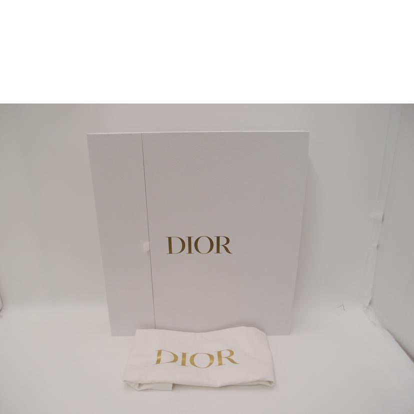 ChristianDior クリスチャンディオール/ブックトートミディアム/レオパード/M1296ZRHM//50-*******/Aランク/69