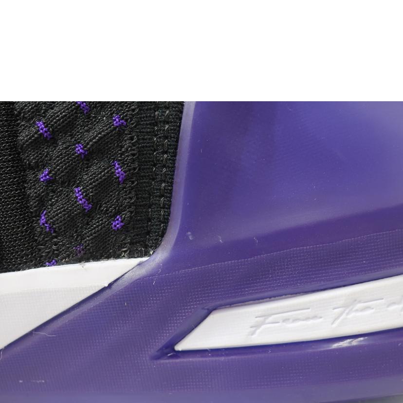 NIKE ナイキ/レブロン18 LEBRON XVIII/30.0cm/ブラック コートパープル メタリックゴールド/CQ9283-004//Aランク/65