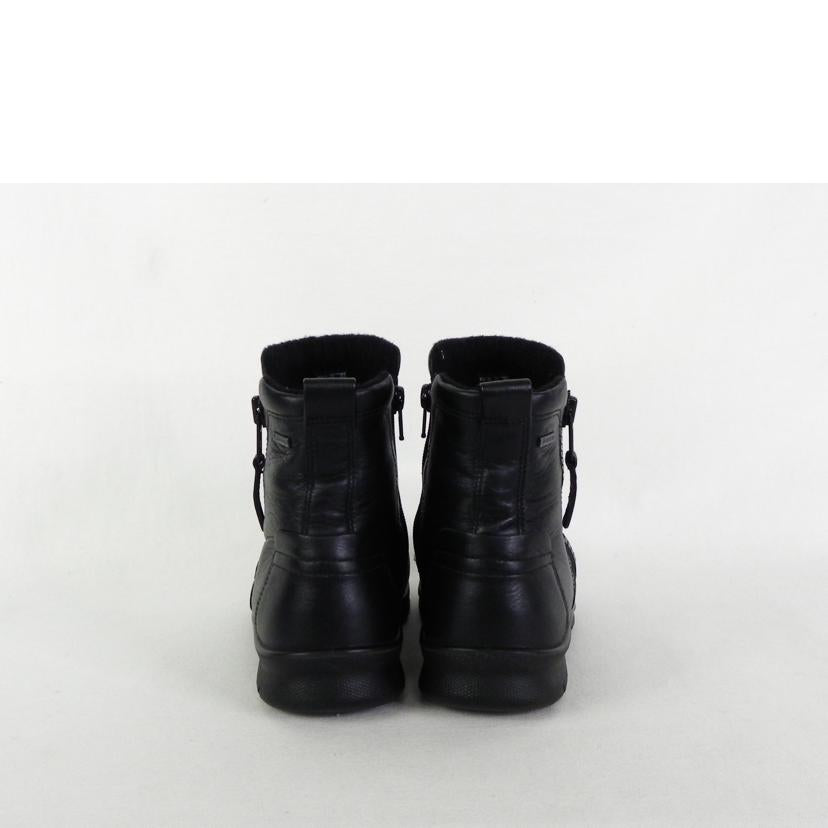 ecco エコー/BABETT BOOT ZIP / GORE-TEX/215573//Aランク/81