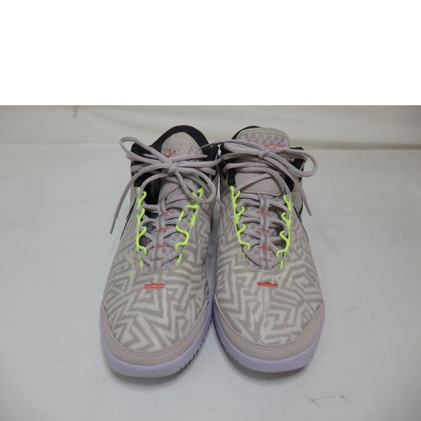 NIKE ナイキ/NIKE レブロン NXXT EP/27.0cm/HF0711-005//Aランク/84
