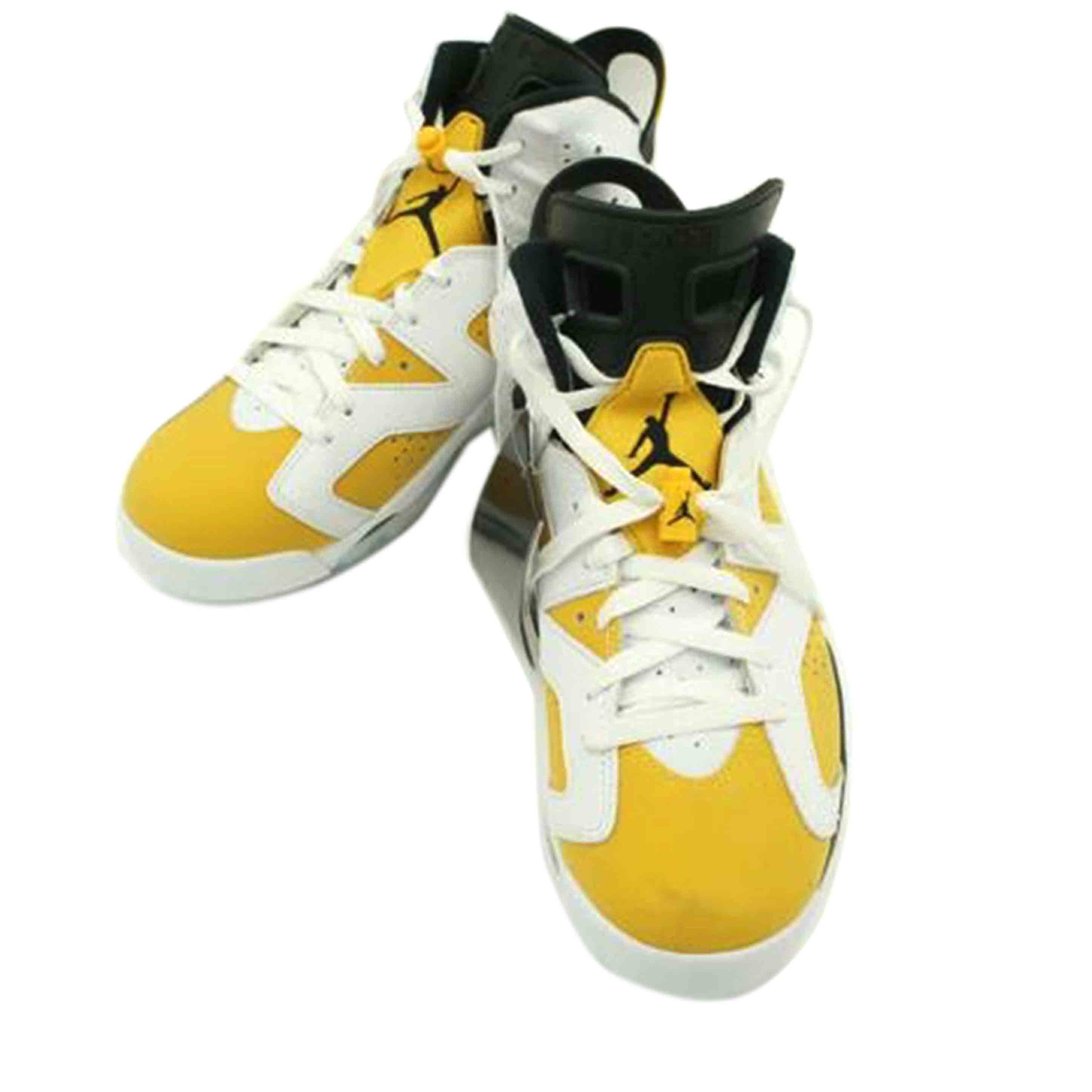 NIKE ナイキ/AIR JORDAN 6 RETRO/CT8529 170//ABランク/42