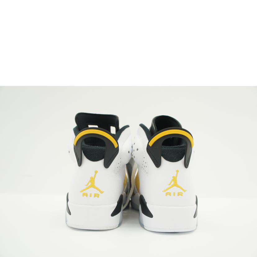 NIKE ナイキ/AIR JORDAN 6 RETRO/CT8529 170//ABランク/42