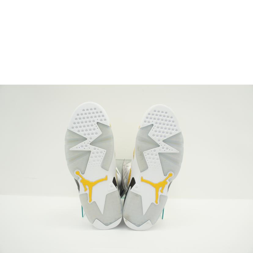 NIKE ナイキ/AIR JORDAN 6 RETRO/CT8529 170//ABランク/42