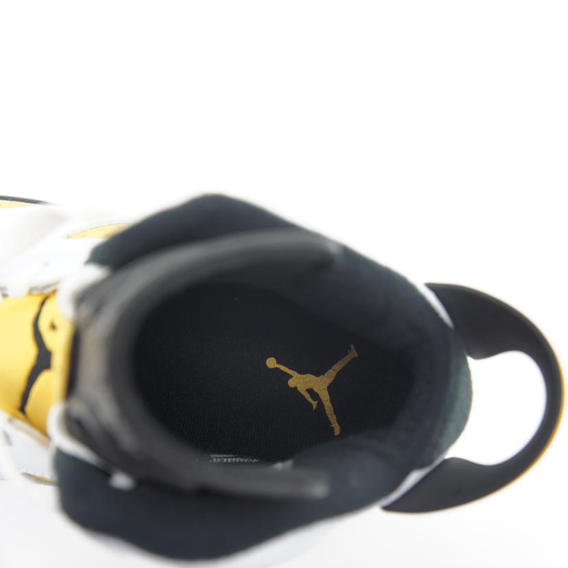 NIKE ナイキ/AIR JORDAN 6 RETRO/CT8529 170//ABランク/42