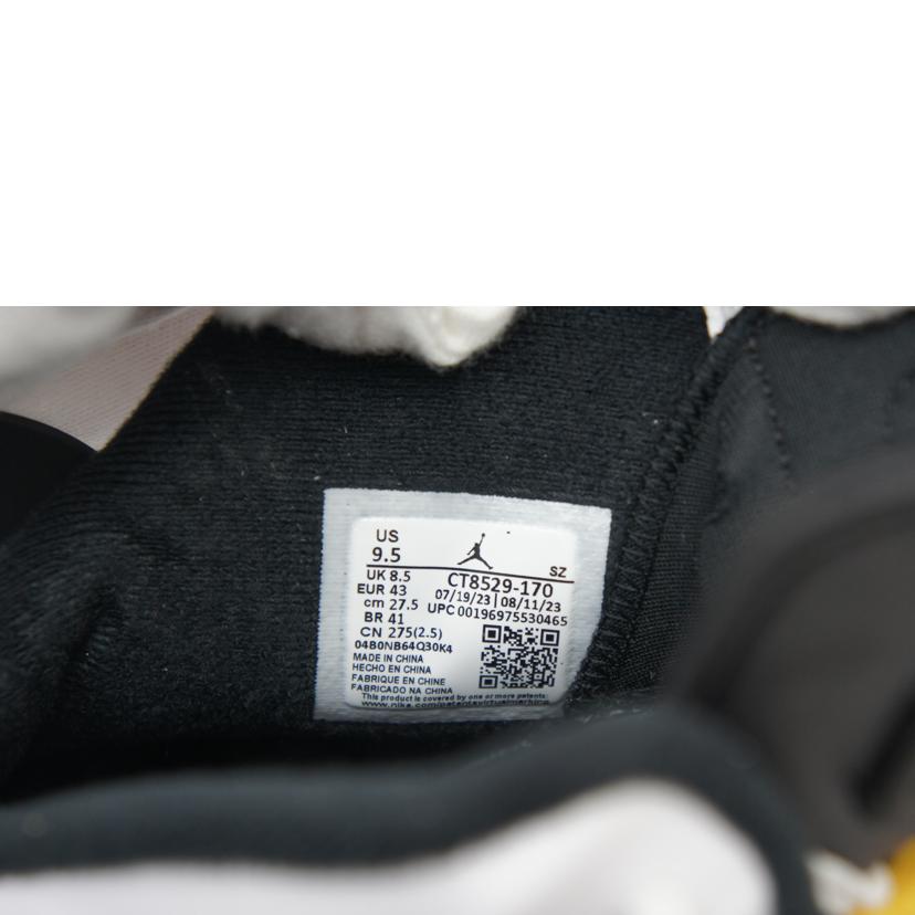 NIKE ナイキ/AIR JORDAN 6 RETRO/CT8529 170//ABランク/42