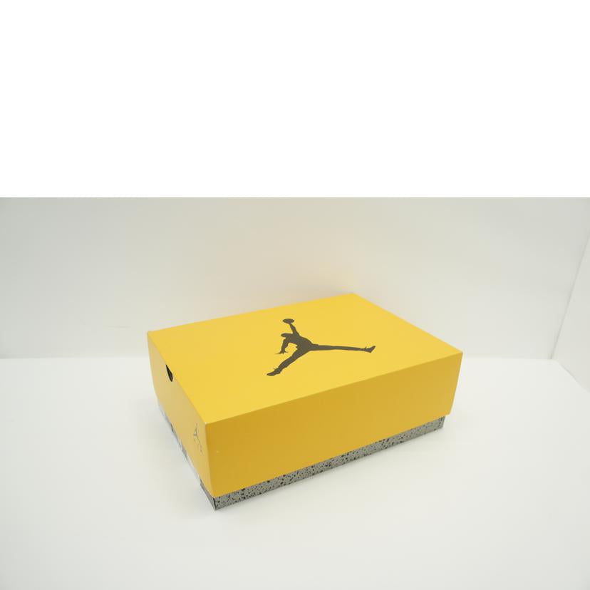 NIKE ナイキ/AIR JORDAN 6 RETRO/CT8529 170//ABランク/42
