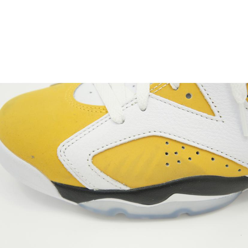 NIKE ナイキ/AIR JORDAN 6 RETRO/CT8529 170//ABランク/42