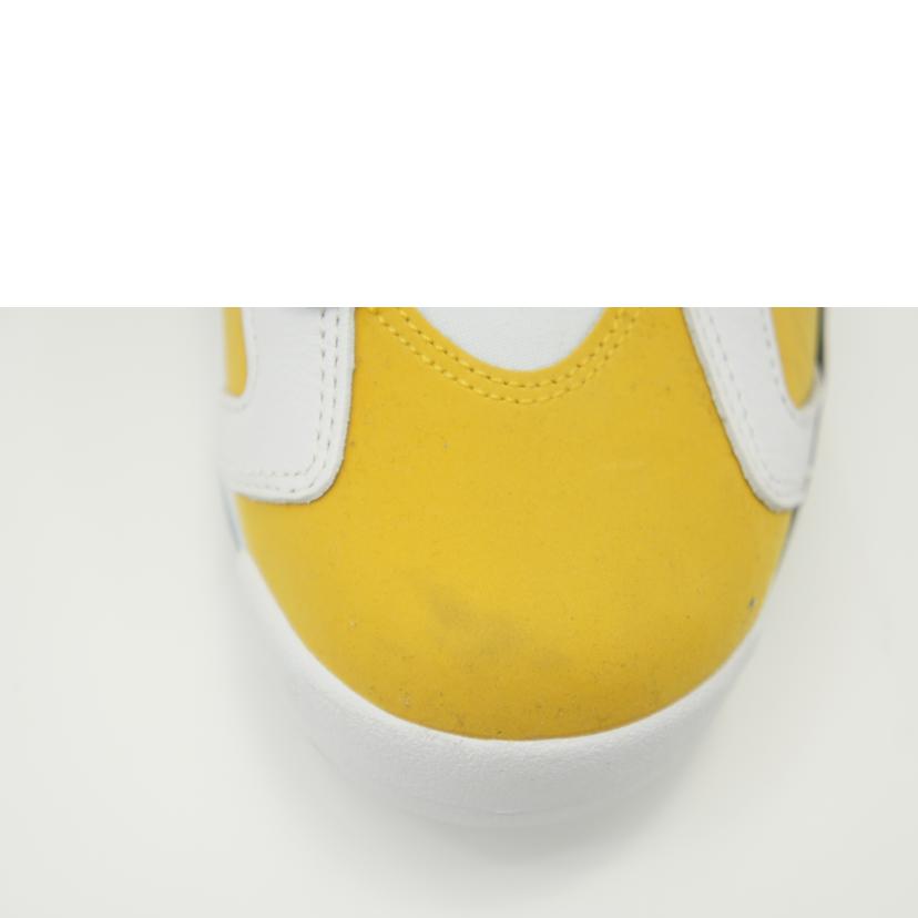NIKE ナイキ/AIR JORDAN 6 RETRO/CT8529 170//ABランク/42