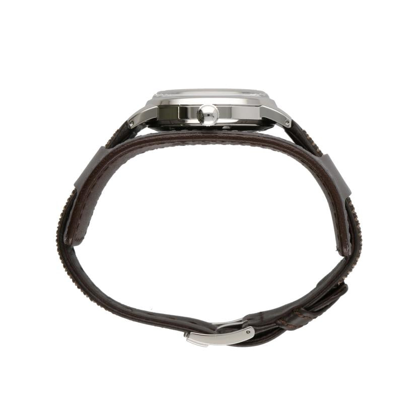 SEIKO セイコ-/プロスペックスアルピニスト復刻デザイン/1959本限定/自動巻き/SJE085/6L35-00E0//119******/SAランク/18