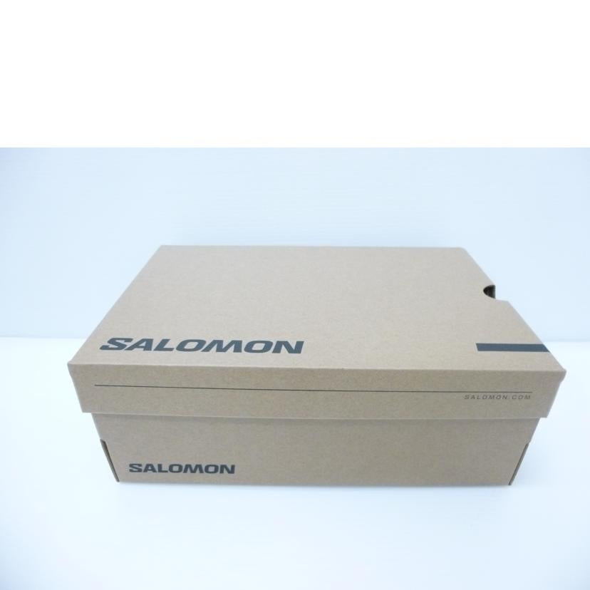 SALOMON サロモン/XT-6 EXPANSE LTR/475746//ABランク/88