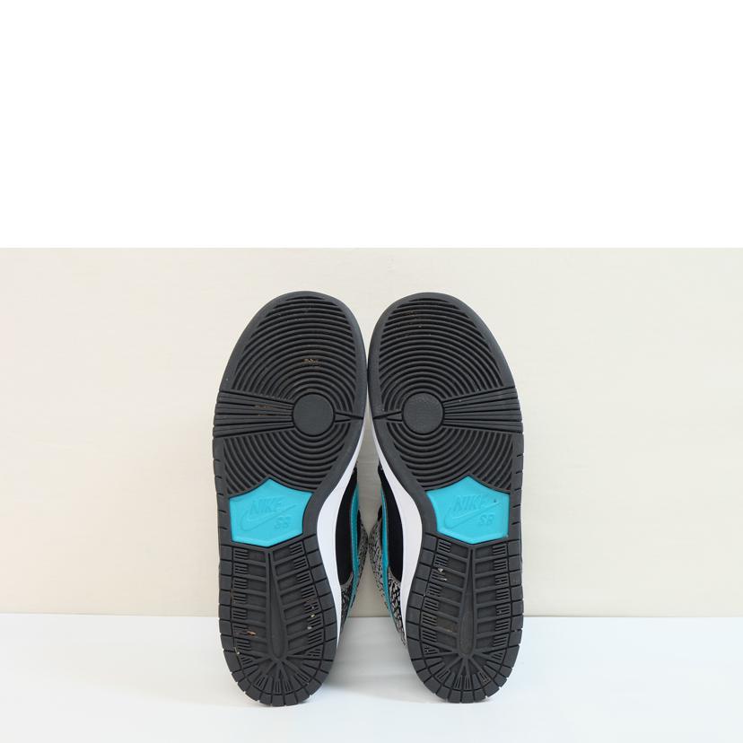 NIKE ナイキ/SB ダンクロー プロ/BQ6817-009//Bランク/71