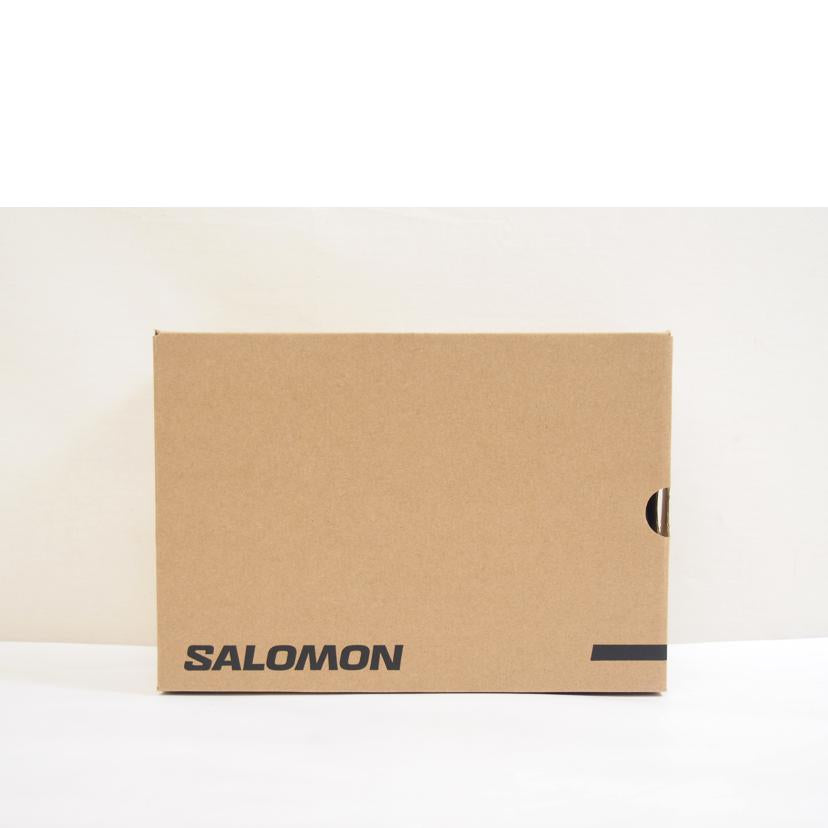 SALOMON サロモン/SALOMON XA PRO 3D V9 GTX/472701//Sランク/71