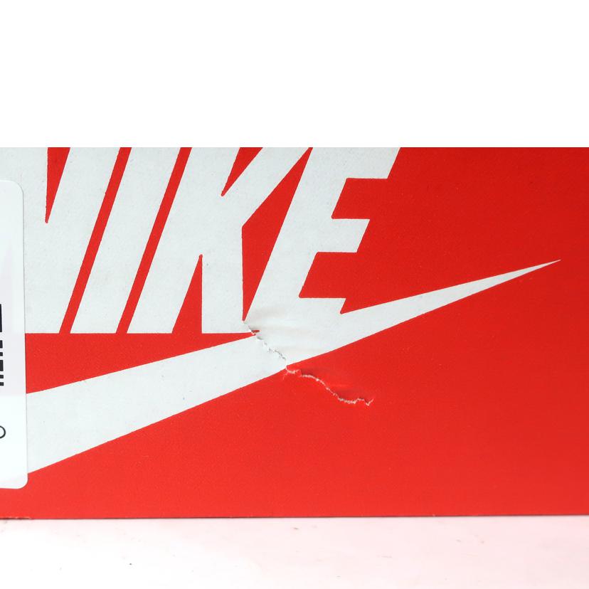 NIKE ナイキ/DUNK LOW RETRO プレミアム 26.0cm ブラウン系/HQ1979-001//SAランク/65