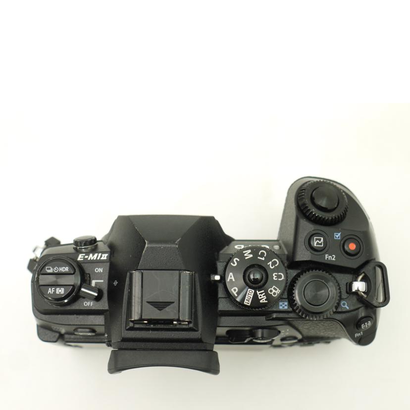 OLYMPUS オリンパス/ミラーレス一眼カメラボディ/E-M1 MARK-2//BHUA07624/ABランク/19