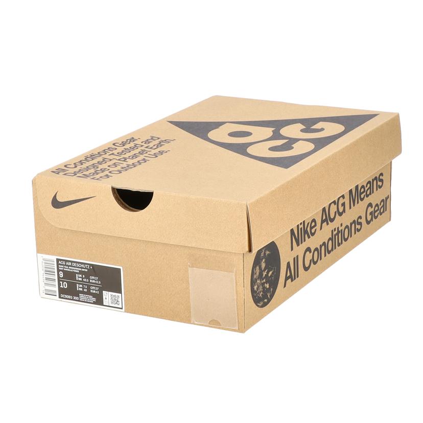 NIKE ナイキ/ナイキ/ACGエアDESCHUTZ+/DC9093-300//ABランク/06