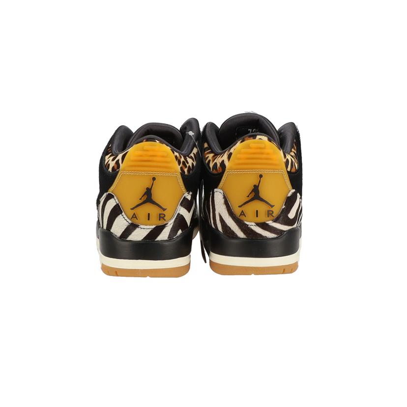 Nike Air Jordan 3 Retro SE/CK4344-002//ABランク/70