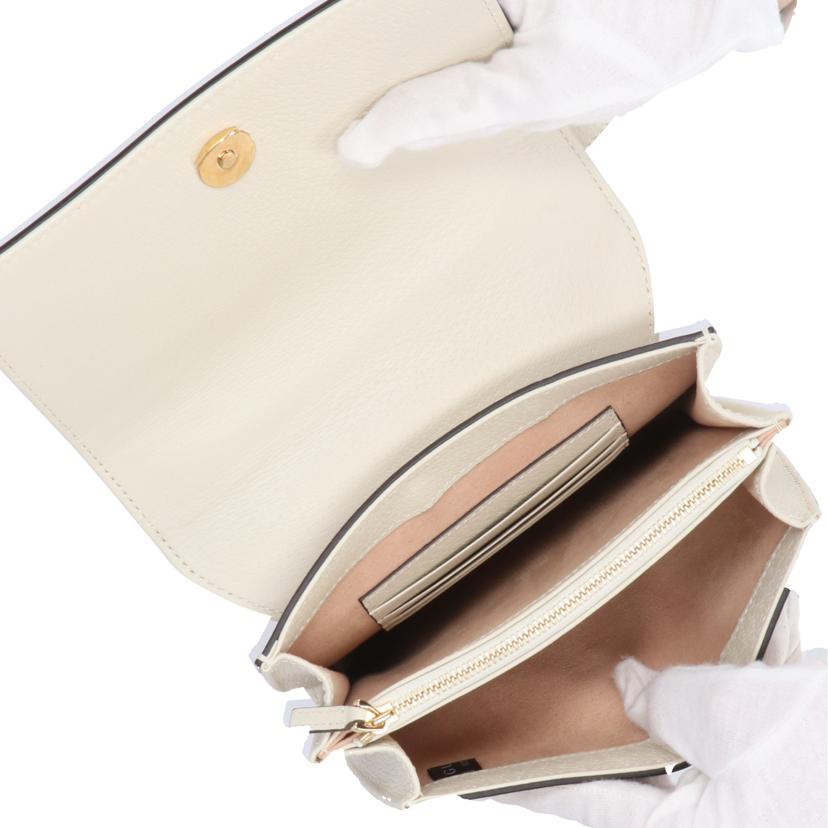 GUCCI グッチ/GGスプリーム・アップル2WAYショルダーバッグ/625782//525*****/Aランク/91