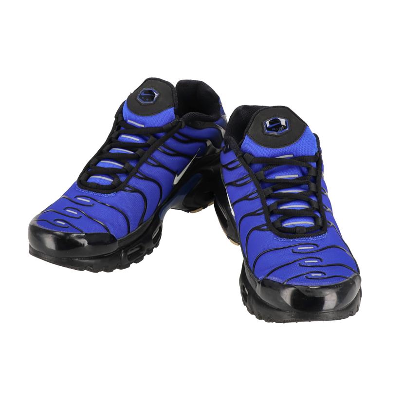 NIKE ナイキ/AIR MAX PLUS PRM/FQ7331-001//28.0cm/ABランク/41