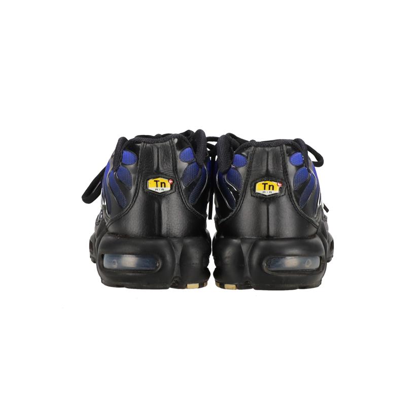 NIKE ナイキ/AIR MAX PLUS PRM/FQ7331-001//28.0cm/ABランク/41