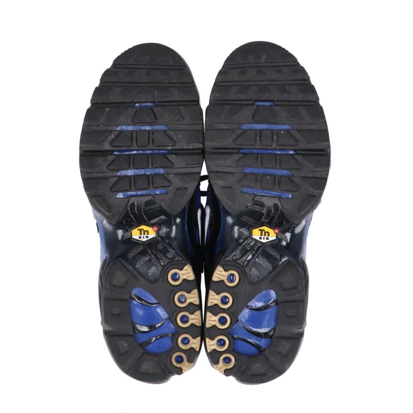 NIKE ナイキ/AIR MAX PLUS PRM/FQ7331-001//28.0cm/ABランク/41