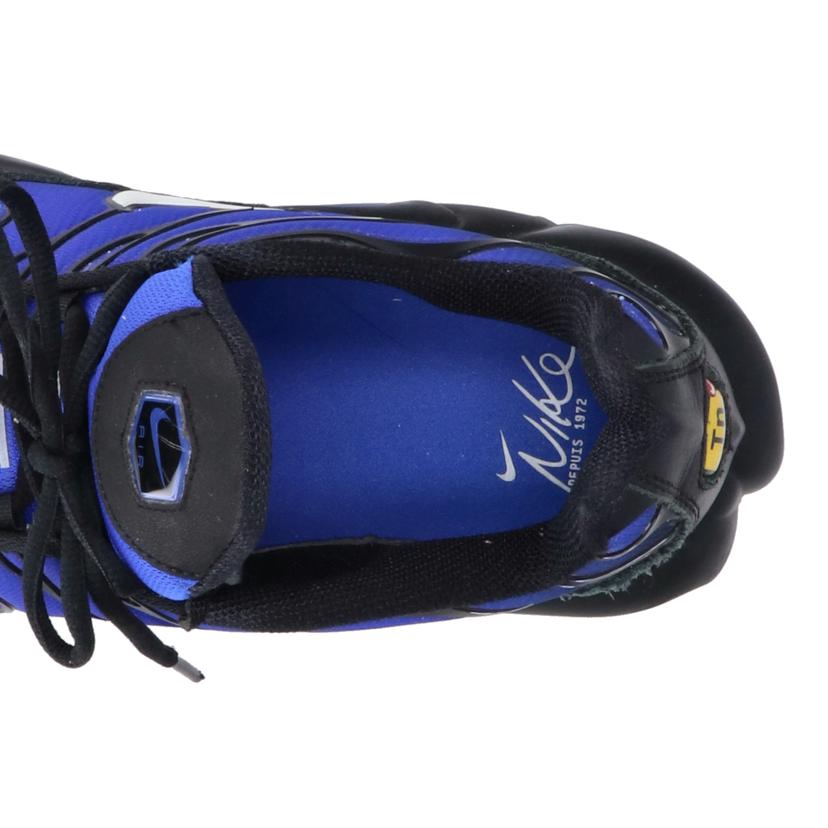 NIKE ナイキ/AIR MAX PLUS PRM/FQ7331-001//28.0cm/ABランク/41