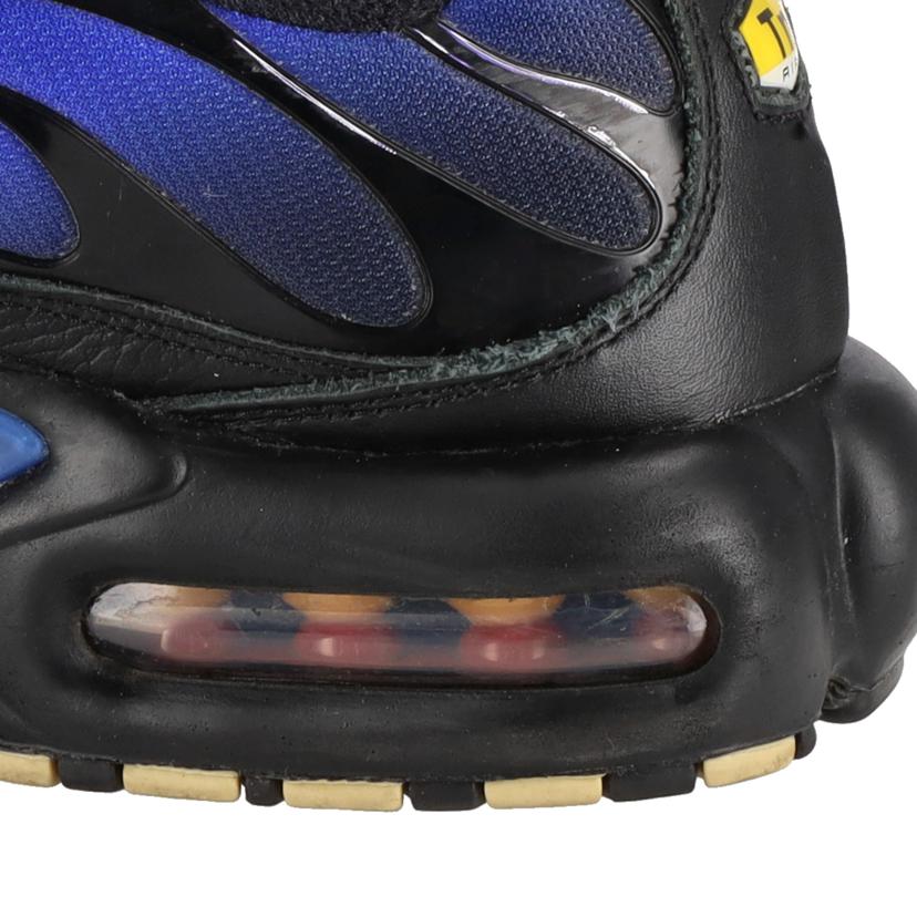 NIKE ナイキ/AIR MAX PLUS PRM/FQ7331-001//28.0cm/ABランク/41