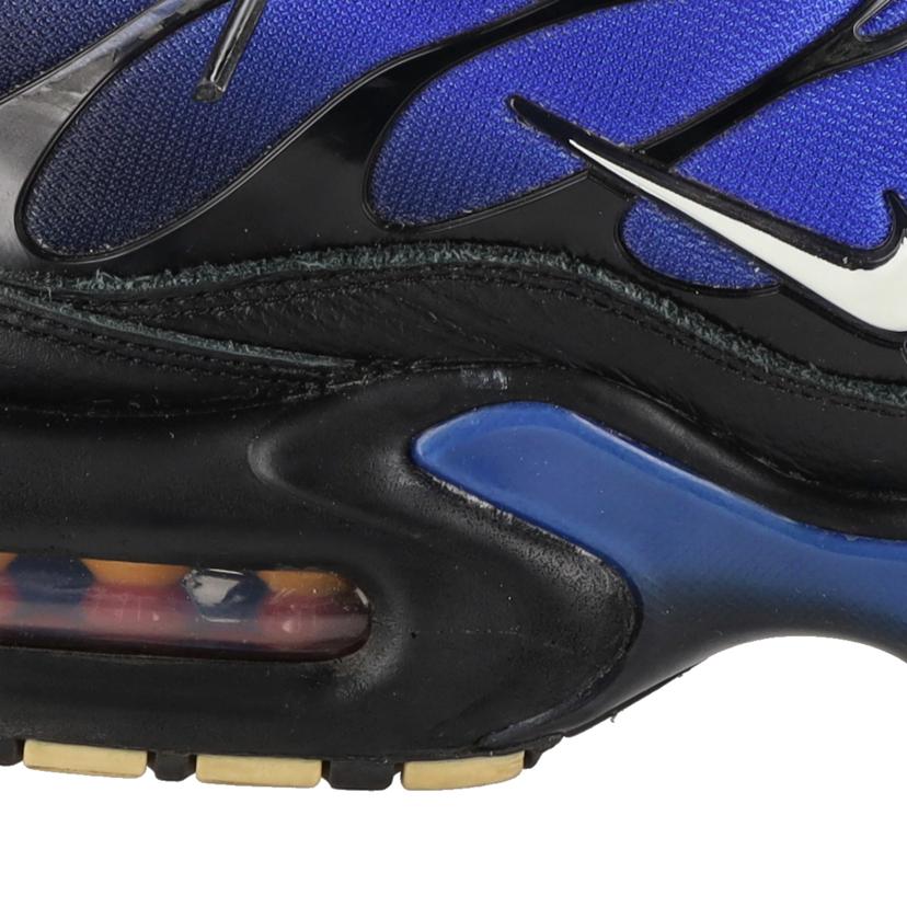 NIKE ナイキ/AIR MAX PLUS PRM/FQ7331-001//28.0cm/ABランク/41