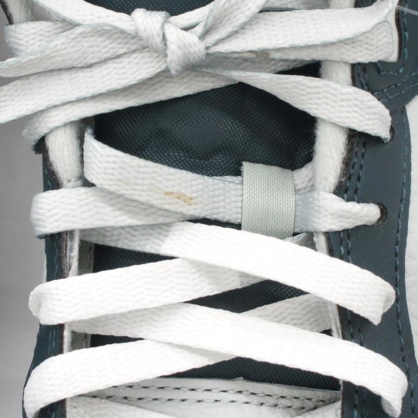 NIKE ナイキ/NIKE DUNK LOW RETRO PRM GR/FB8896-300//ABランク/78